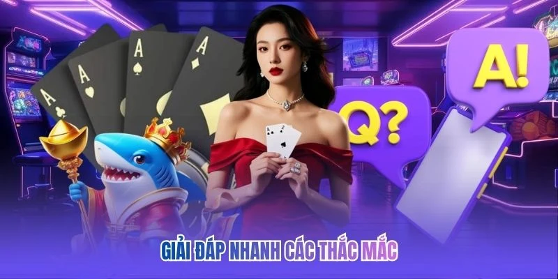 Giải đáp nhanh các thắc mắc